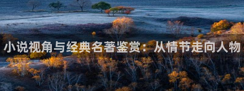 趣笔阁全本小说网：小说视角与经典名著鉴赏：从情节走向人物