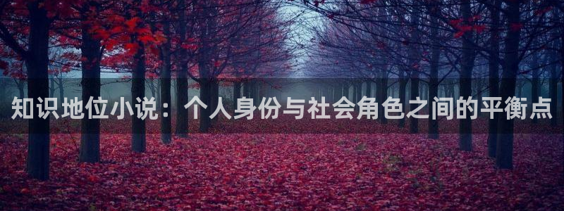 步步惊情韩雪老谢趣笔阁：知识地位小说：个人身份与社会角色之间的平衡点