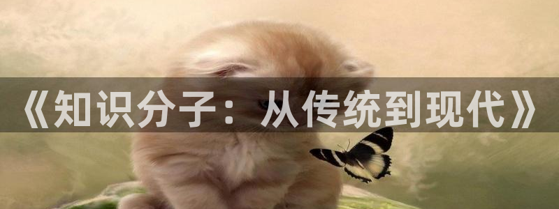陈浩叶倾城趣笔阁：《知识分子：从传统到现代》