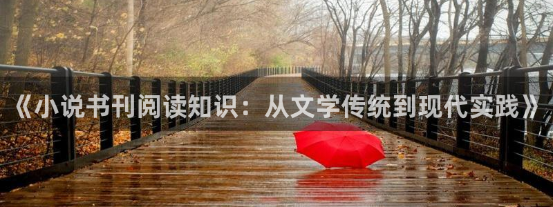 趣笔阁辣文：《小说书刊阅读知识：从文学传统到现代实践》
