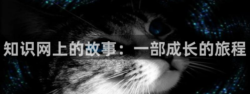 大王饶命小说趣笔阁：知识网上的故事：一部成长的旅程