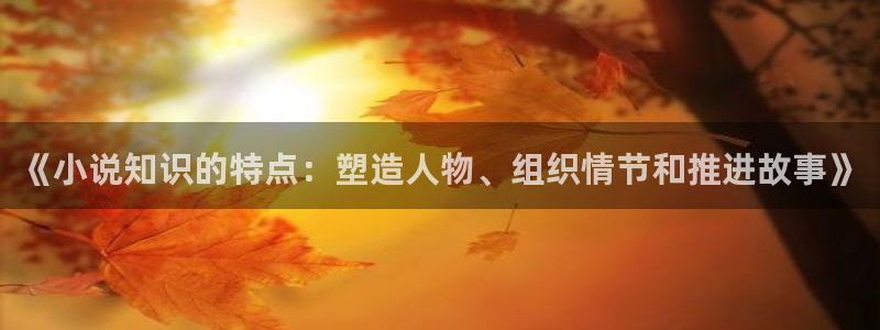 林枫与苏慕白小说趣笔阁：《小说知识的特点：塑造人物、组织情节和推进故事》