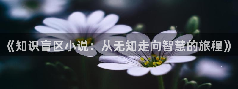 大王饶命小说趣笔阁：《知识盲区小说：从无知走向智慧的旅程》