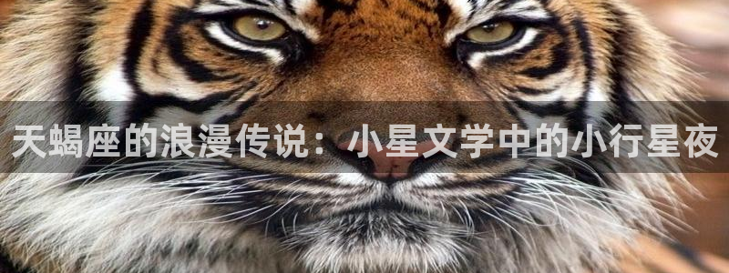 步步惊情韩雪老谢趣笔阁：天蝎座的浪漫传说：小星文学中的小行星夜