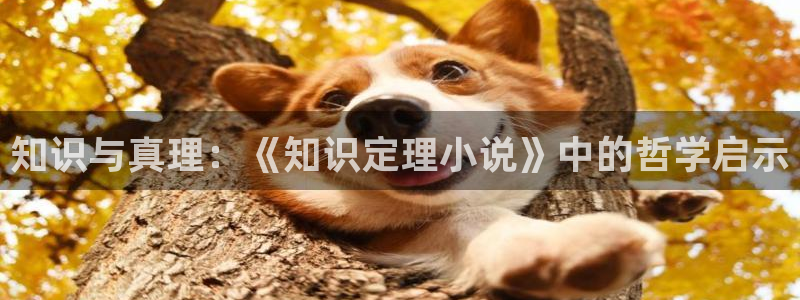 趣笔阁免费阅读：知识与真理：《知识定理小说》中的哲学启示