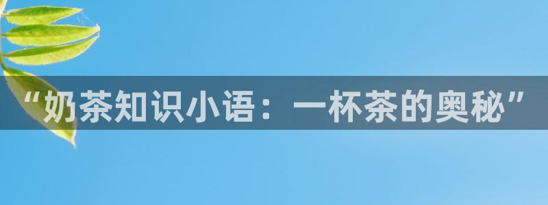 陈浩叶倾城趣笔阁：“奶茶知识小语：一杯茶的奥秘”