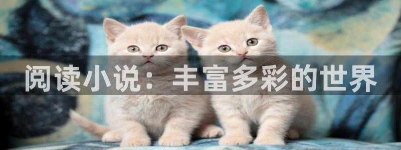 阿宾正传趣笔阁庆仔：阅读小说：丰富多彩的世界