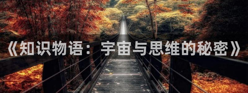 阿宾正传1—72与钰慧趣笔阁txt：《知识物语：宇宙与思维的秘密》