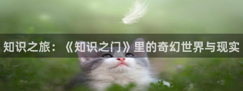 百炼成神趣笔阁：知识之旅：《知识之门》里的奇幻世界与现实