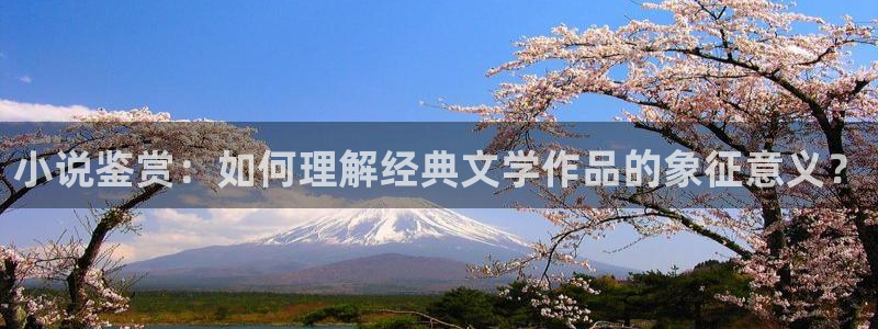 暗火颜茜和颜栖迟趣笔阁：小说鉴赏：如何理解经典文学作品的象征意义？