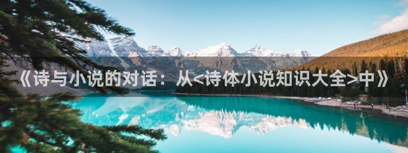 趣笔阁免费阅读：《诗与小说的对话：从<诗体小说知识大全>中》