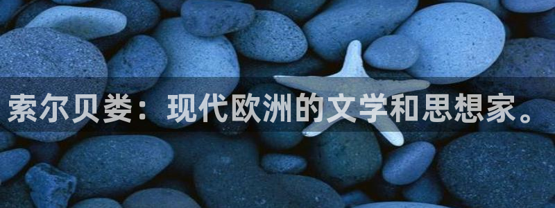 长日光阴似箭乱作一团趣笔阁：索尔贝娄：现代欧洲的文学和思想家。