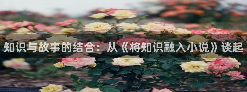 圣墟趣笔阁：知识与故事的结合：从《将知识融入小说》谈起