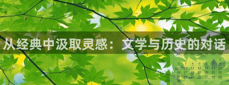 长日光阴似箭乱作一团趣笔阁：从经典中汲取灵感：文学与历史的对话