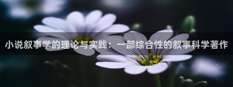 盗墓笔记小说趣笔阁：小说叙事学的理论与实践：一部综合性的叙事科学著作