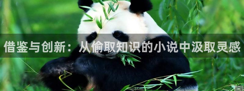 阿宾正传1—72与钰慧趣笔阁txt：借鉴与创新：从偷取知识的小说中汲取灵感