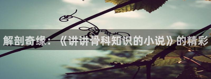 趣笔阁小说网：解剖奇缘：《讲讲骨科知识的小说》的精彩