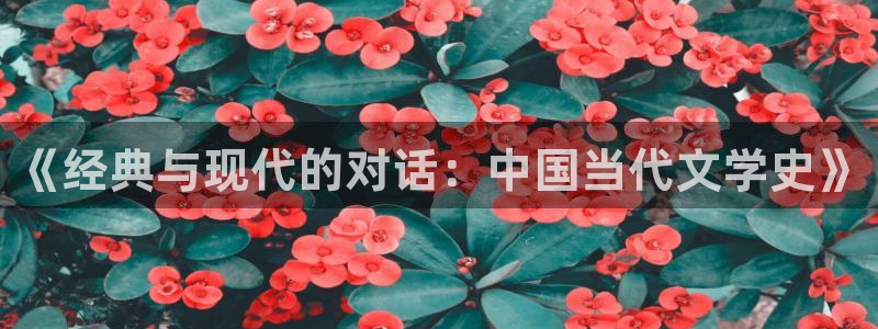 阿宾正传1—72与钰慧趣笔阁：《经典与现代的对话：中国当代文学史》