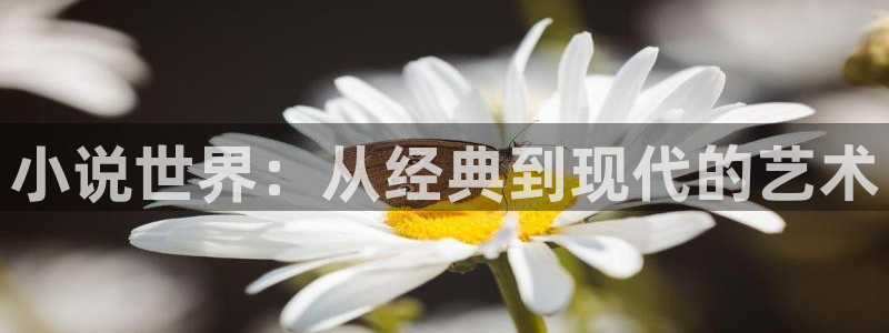 趣笔阁免费阅读：小说世界：从经典到现代的艺术