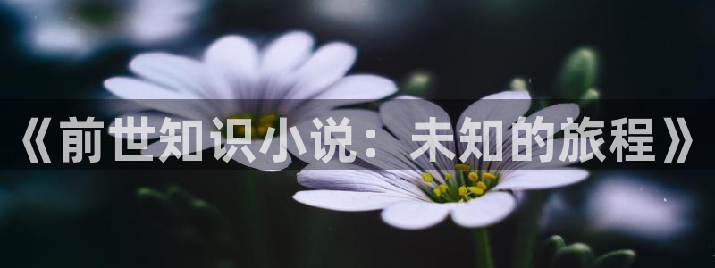 长日光阴似箭乱作一团趣笔阁：《前世知识小说：未知的旅程》