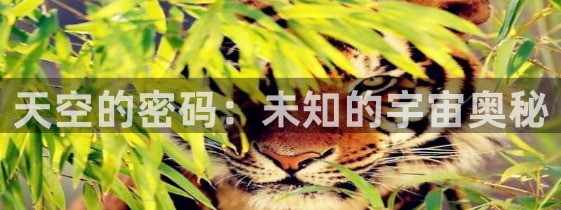 大王饶命小说趣笔阁：天空的密码：未知的宇宙奥秘