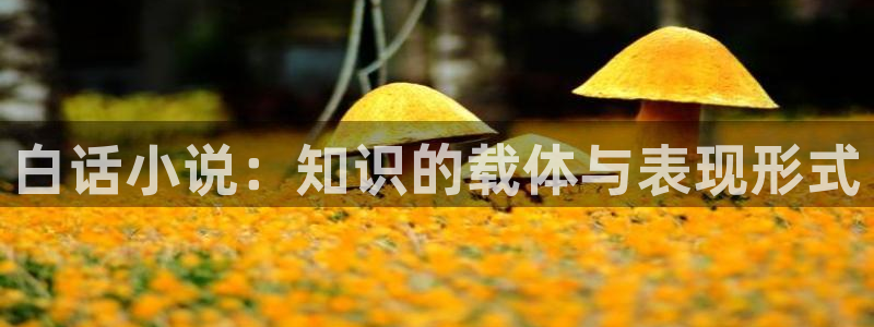 趣笔阁小说阅读网：白话小说：知识的载体与表现形式