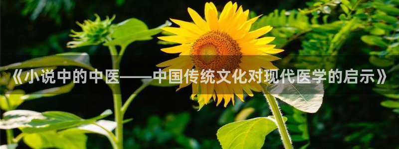 趣笔阁免费阅读：《小说中的中医——中国传统文化对现代医学的启示》