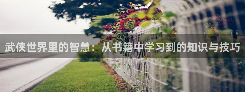 阿宾正传趣笔阁庆仔：武侠世界里的智慧：从书籍中学习到的知识与技巧