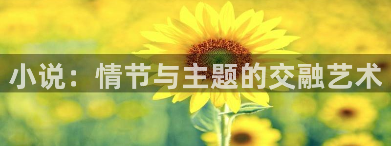 趣笔阁免费阅读：小说：情节与主题的交融艺术