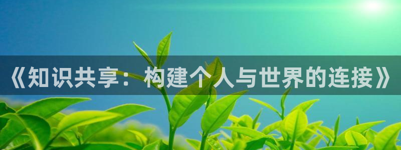 百炼成神趣笔阁：《知识共享：构建个人与世界的连接》
