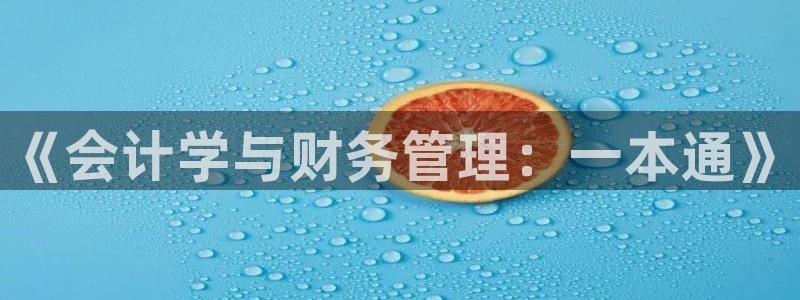 绝世武魂小说趣笔阁：《会计学与财务管理：一本通》