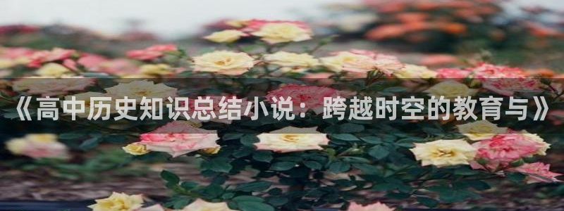圣墟趣笔阁：《高中历史知识总结小说：跨越时空的教育与》