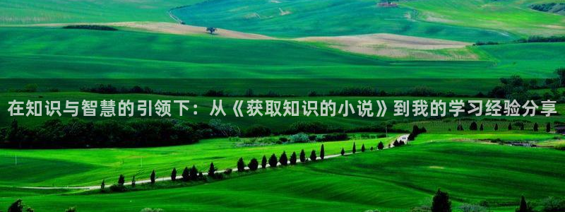 大王饶命小说趣笔阁：在知识与智慧的引领下：从《获取知识的小说》到我的学习经验分享