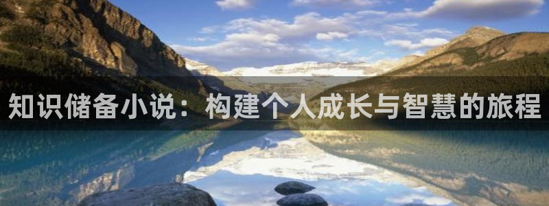 阿宾正传趣笔阁庆仔：知识储备小说：构建个人成长与智慧的旅程